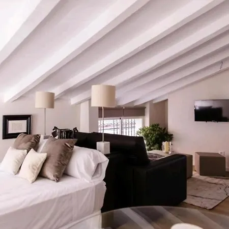 Apartman Loft Con Terraza Valencia